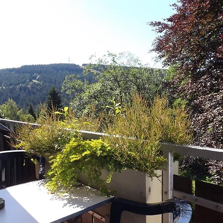 Villa Residenz Bocksberg-Blick&St. Florian Goslar Exterior foto